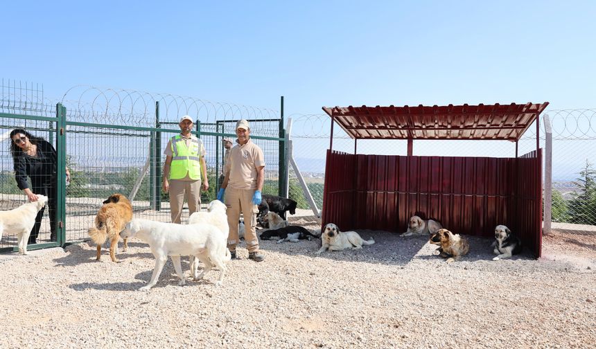 Can dostlar için Doğal Yaşam Alanı kapılarını açtı