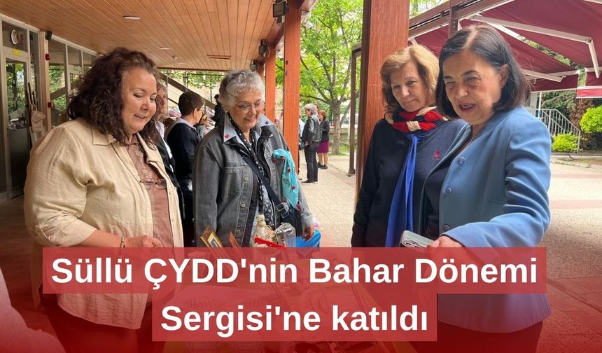 Süllü ÇYDD'nin Bahar Dönemi Sergisi'ne katıldı