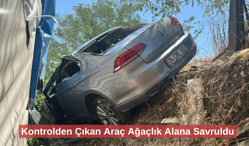 Kontrolden çıkan otomobil ağaçlık alana uçtu