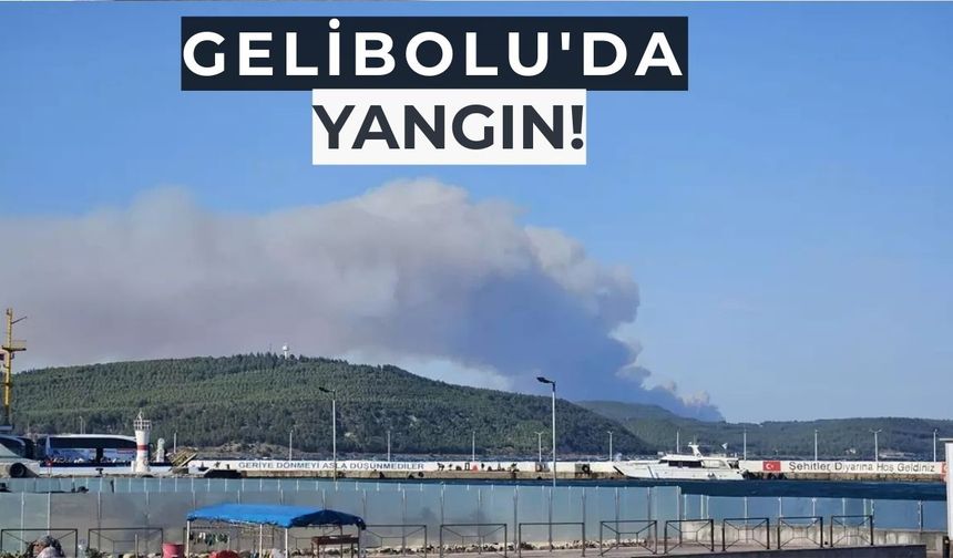 Gelibolu'da Yangın!