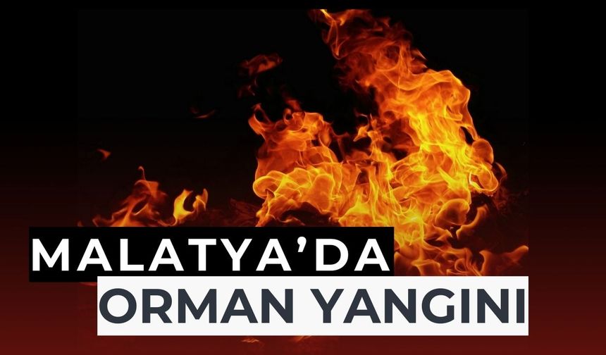 Malatya'da orman yangını