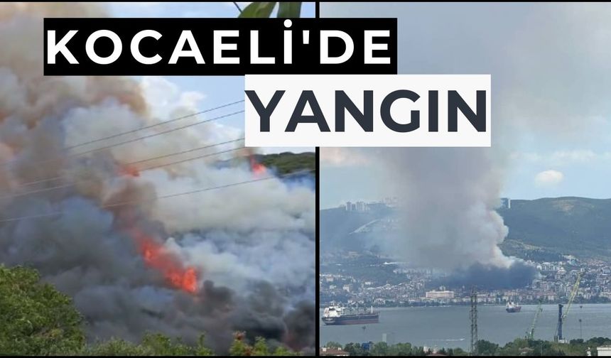 Kocaeli'de ağaçlık alanda yangın çıktı