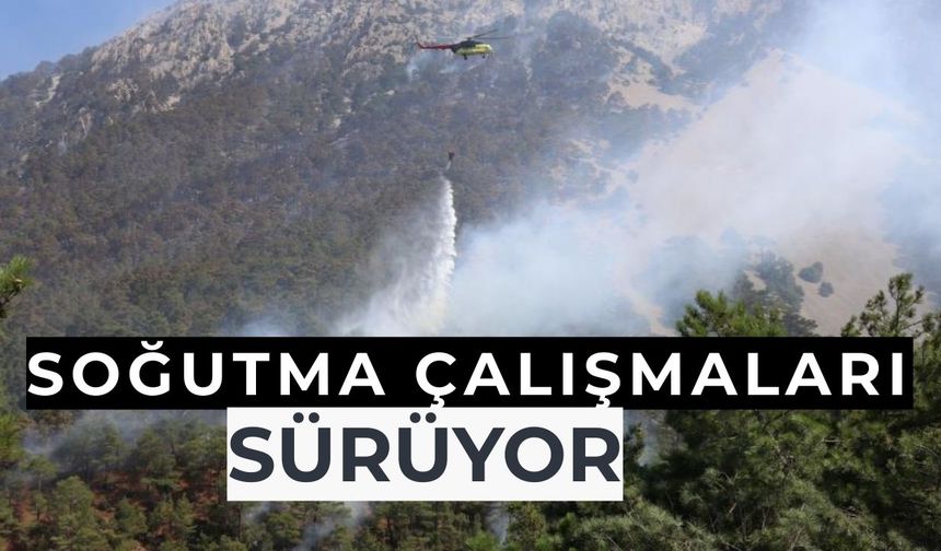 Denizli'deki orman yangınında soğutma çalışmaları devam ediyor