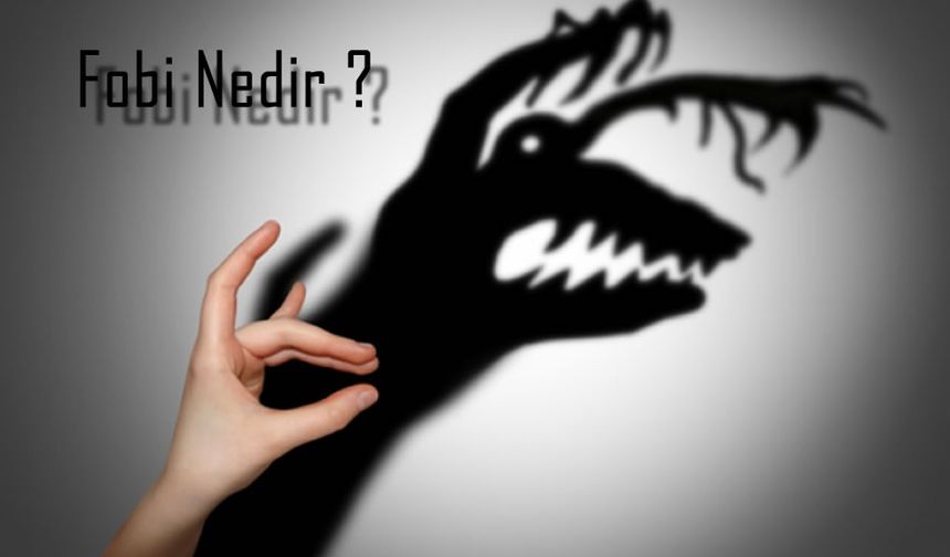 Korkunun Derin Kökleri: Fobiler Nasıl Oluşur?