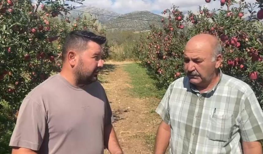 Bir gecede 4 bin 200 ton elma doluya teslim oldu