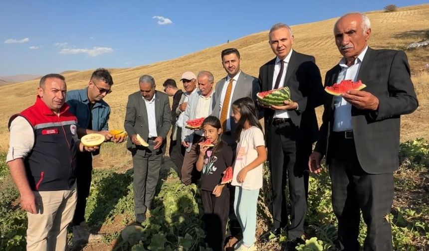 Mısır, karpuz ve kavun hasadı yapıldı