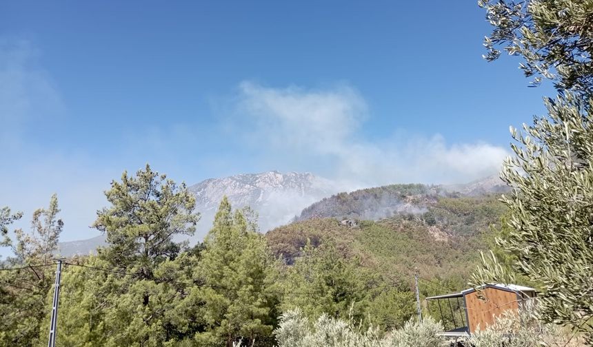 Alanya'da Alev Alarmı: Yangın Parça Parça Yayılıyor