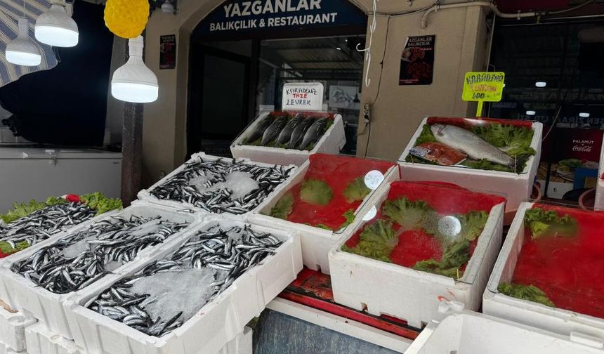 Balık tezgahları boş kaldı, vatandaş umduğunu bulamadı
