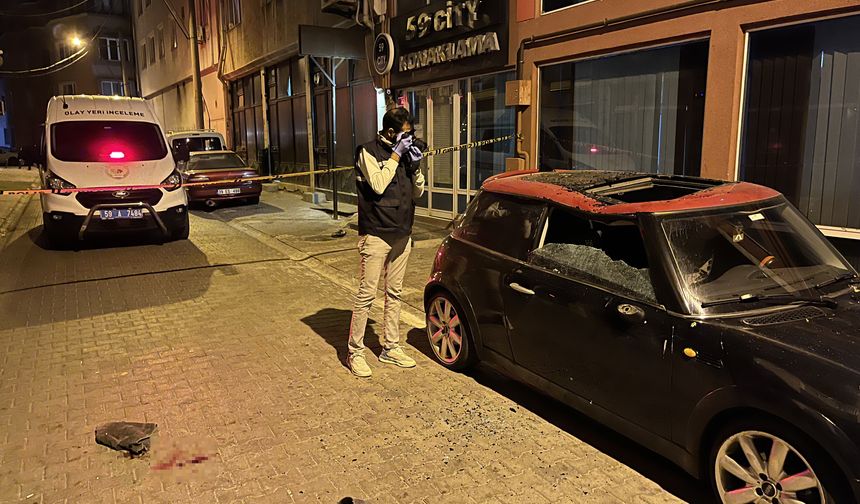 5. Kattan Otomobilin Üzerine Düştü