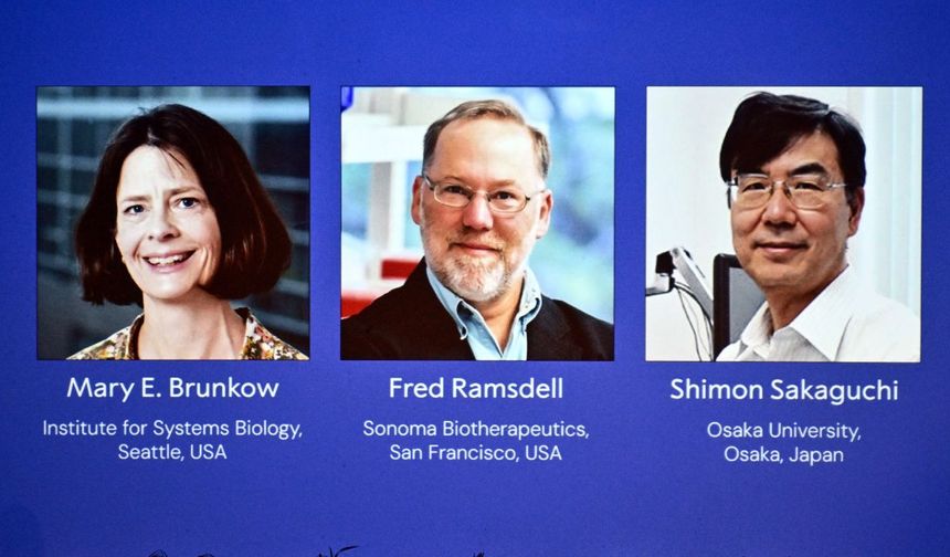 2025 Nobel Tıp Ödülü Kazananları Belli Oldu