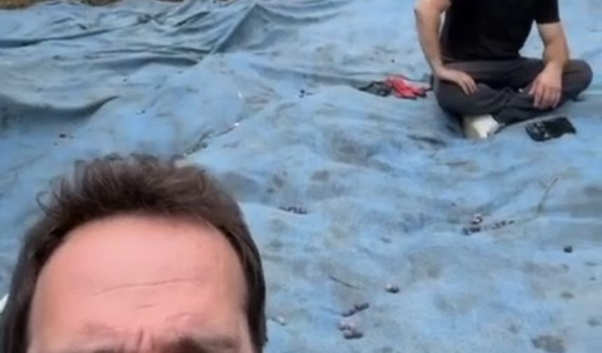 Ünlü oyuncu ilk zeytin hasatını yaptı