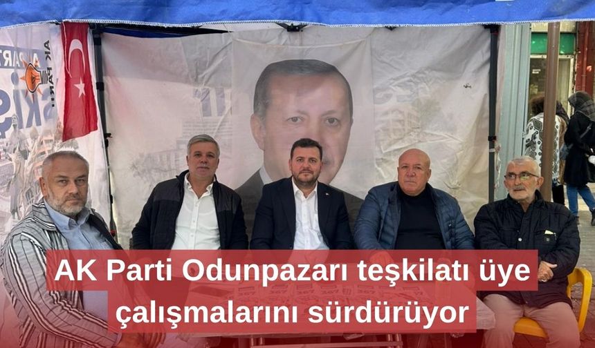 AK Parti Odunpazarı teşkilatı üye çalışmalarını sürdürüyor