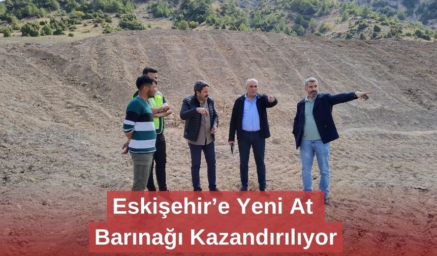 Eskişehir’e Yeni At Barınağı Kazandırılıyor