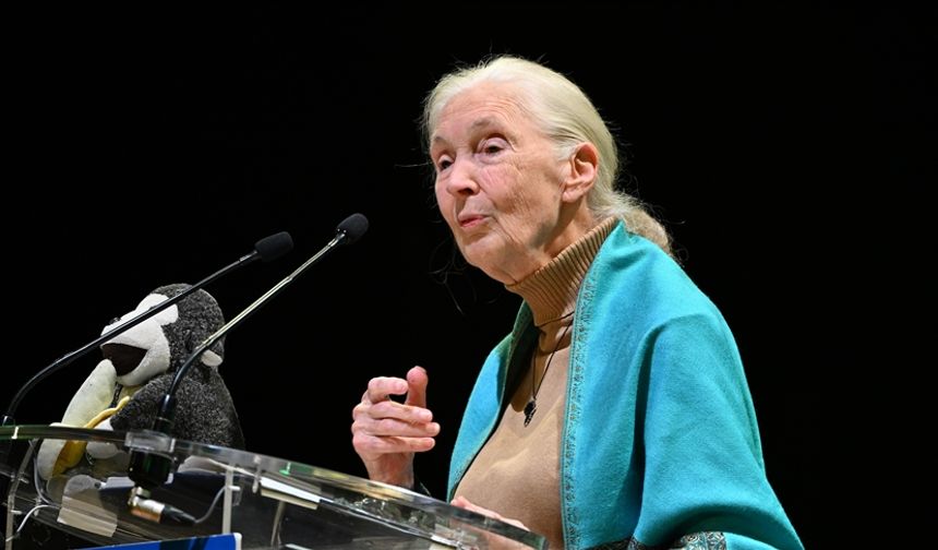 Jane Goodall'ın 91 yaşında hayatını kaybetti