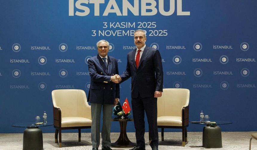 Hakan Fidan, Mohammad Ishaq Dar ile bir aradaydı