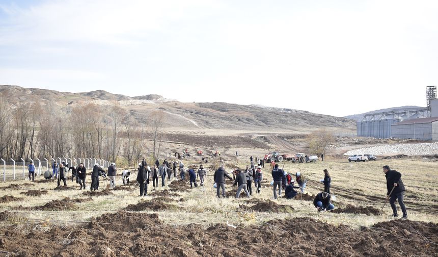 Sivas OSB’de yeşil dönüşüm binlerce fidan toprakla buluşuyor