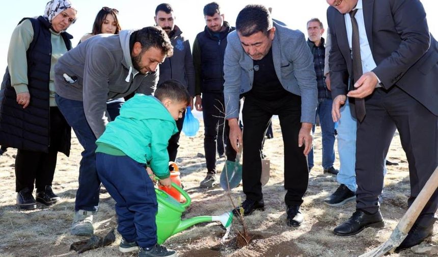 Minik Yakup için ağaç dikildi