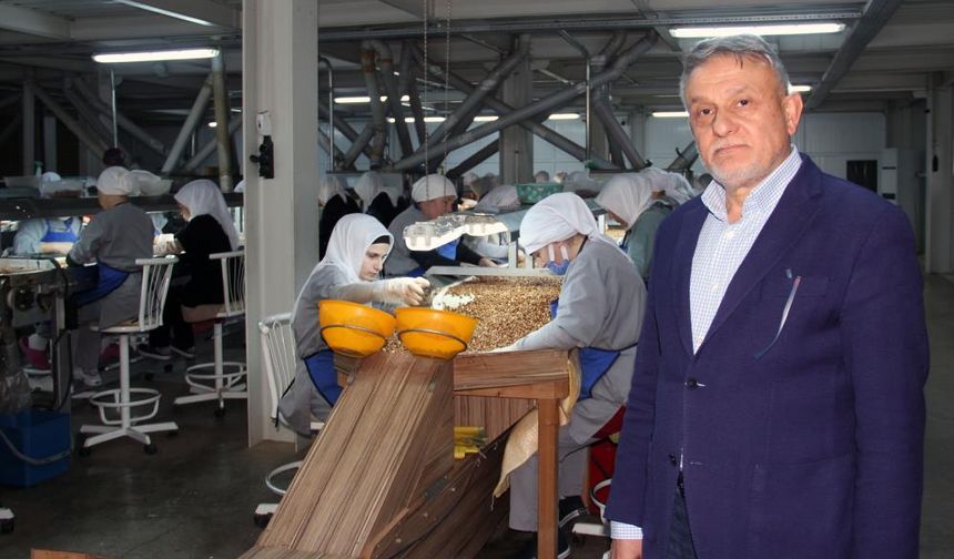 Fındık fiyatları, ihracat, döviz kuru ve hava şartlarına bağlı