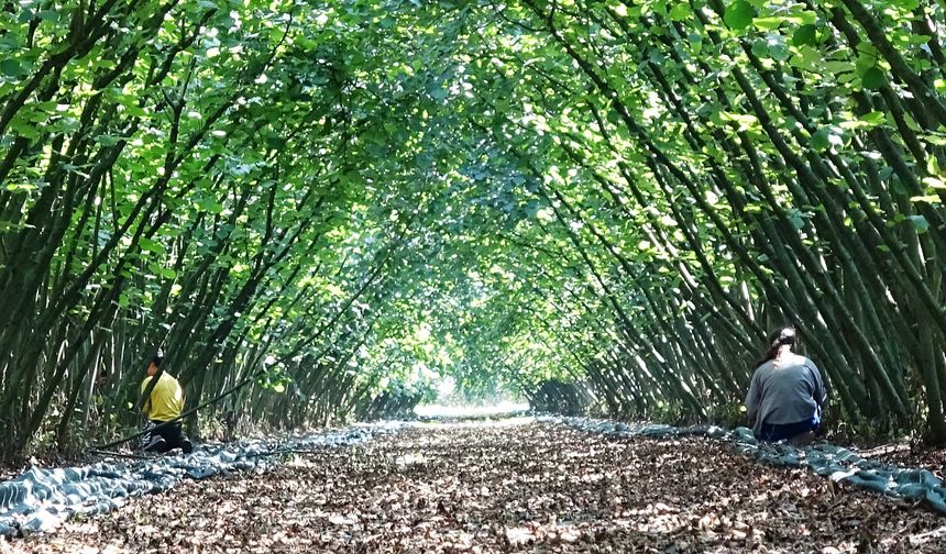 Kırsalda ekonomiyi güçlendirecek destek