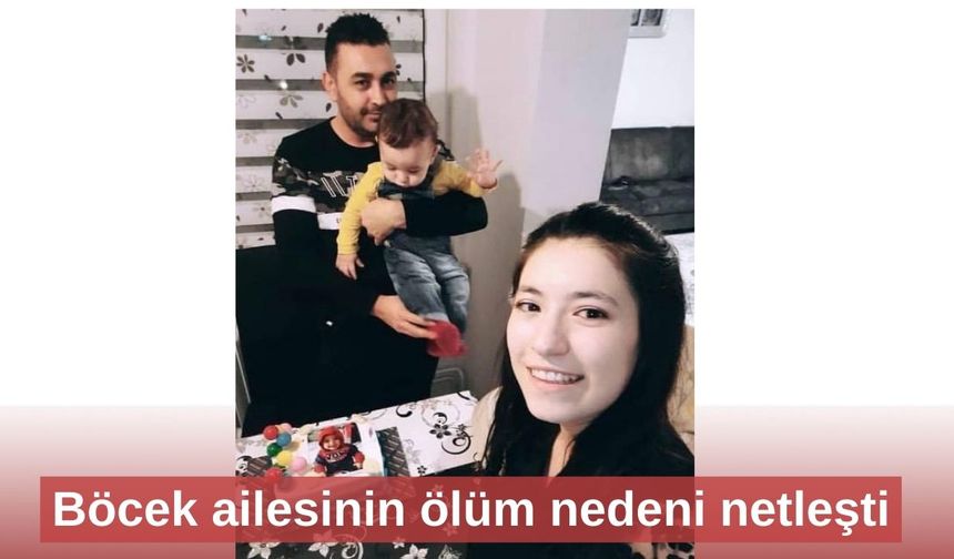 Böcek ailesinin ölüm nedeni netleşti