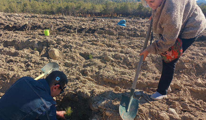 Yangının izlerini fidan dikerek siliyorlar