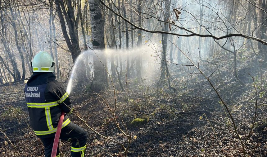 Ordu’da son bir haftada 40 yangın