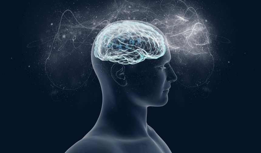 Bilinç Gizemi: İnsan Zihninin Nasıl Ortaya Çıktığına Dair Yeni Teoriler