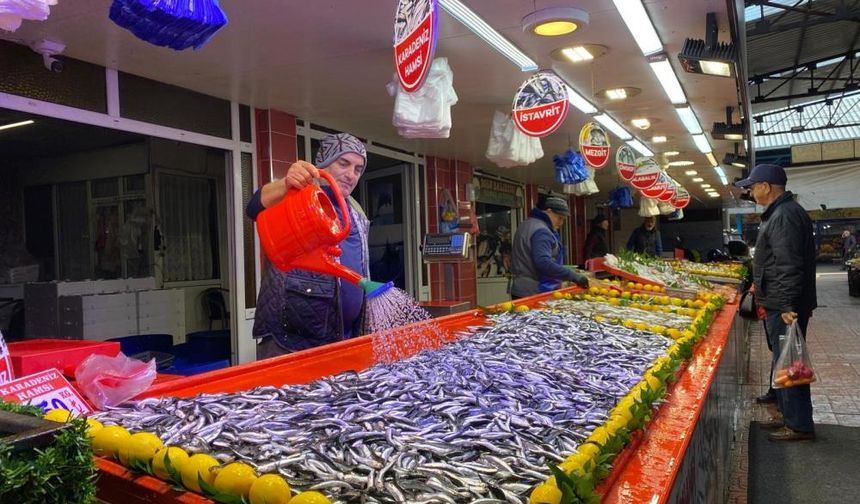 Yoğun ilgi gören hamsinin fiyatı düştü