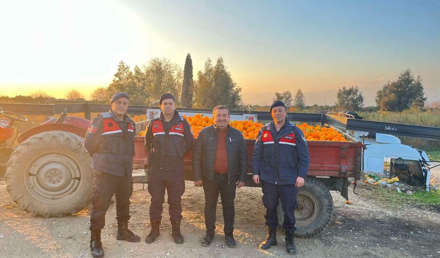 1,5 ton portakal çalındı