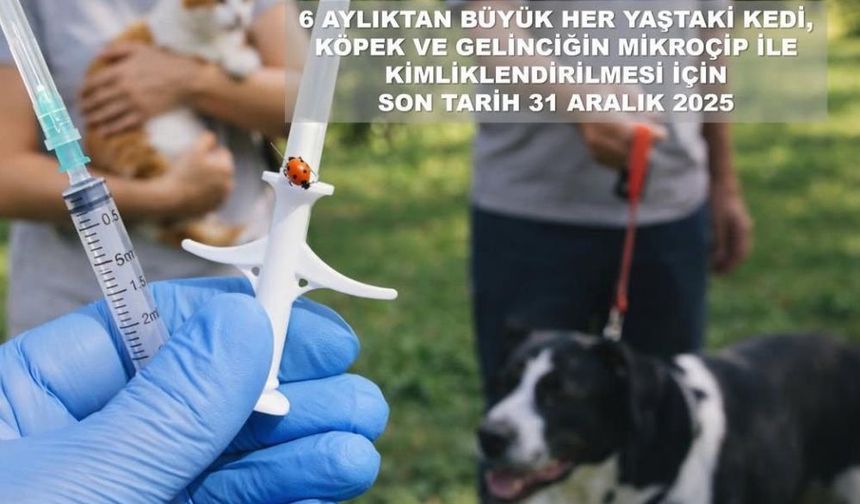 Valilikten evcil hayvan uyarısı