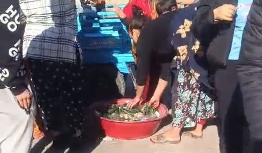 Bir mahalle birbirine girdi