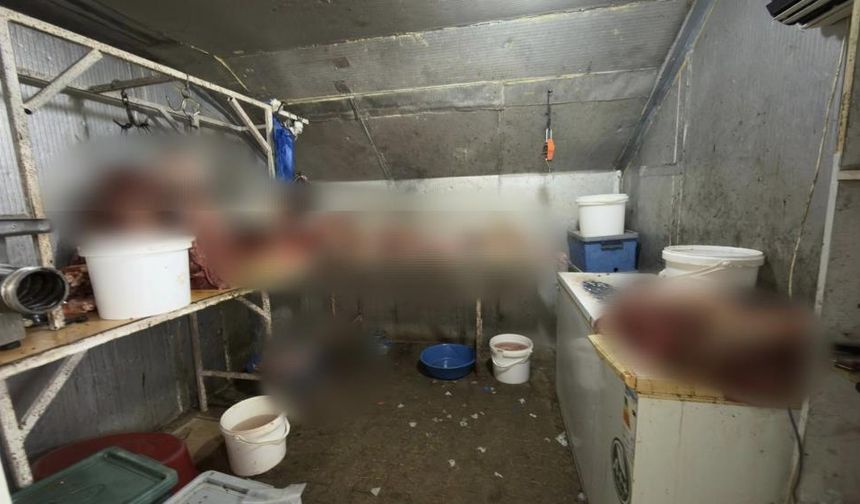 Çifteler'de 215 kilogram kaçak at eti ele geçirildi