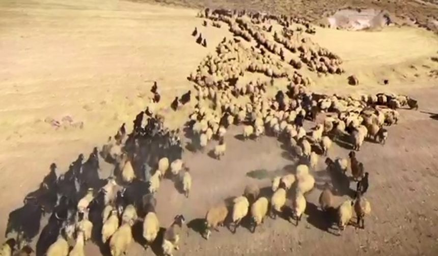 "Zamanın Ustaları" belgeselinden ilk görüntüler yayınlandı