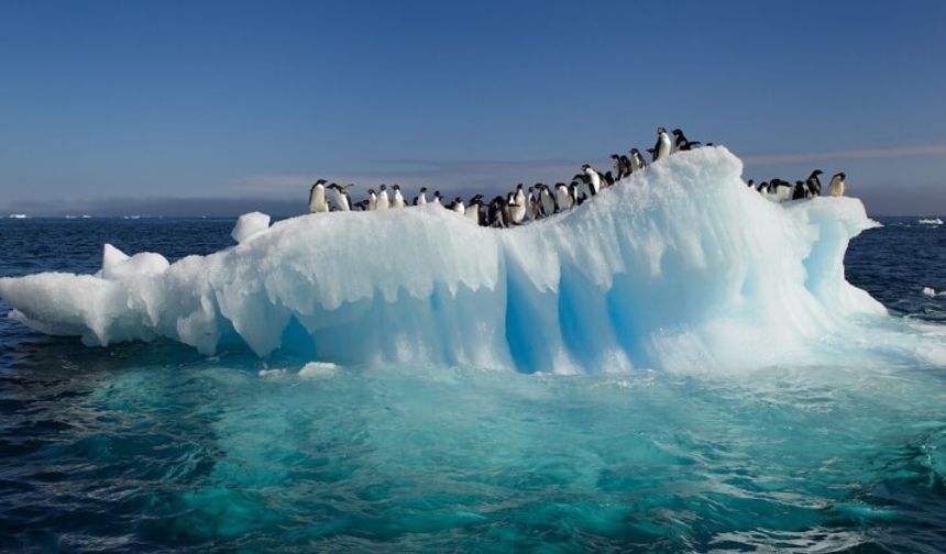 Antarktika'da 9 ay boyunca buzun altında mahsur kaldı, kıyamet verileriyle geri geldi