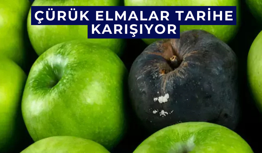 Çürük elmalar tarihe karışıyor, sandığınızdan daha basit