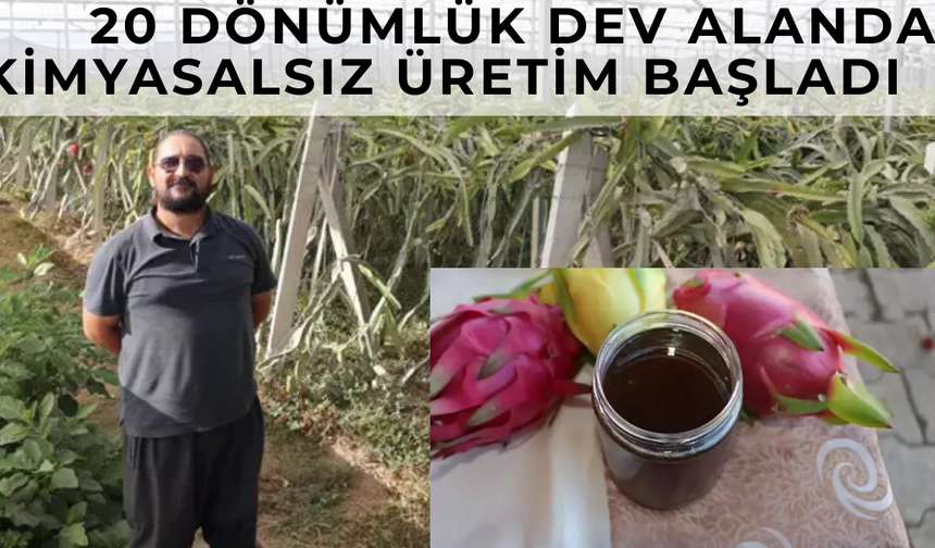 20 Dönümlük Dev Alanda KİMYASALSIZ Üretim Başladı