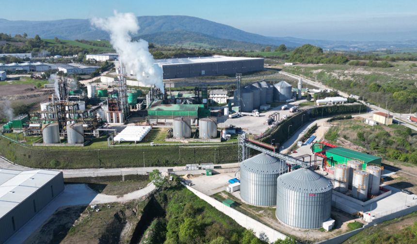 Temiz Havanın Gücü: Biyoetanol