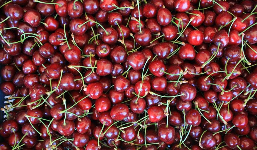 15 Aralık'ta okullarda "Coğrafi İşaret Günü" kutlanacak