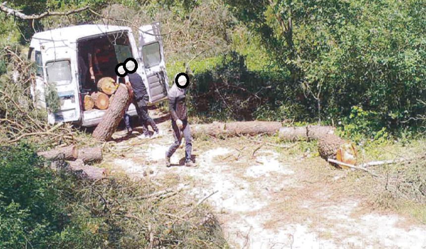 OGM’den kaçak kesimlere karşı 7/24 koruma