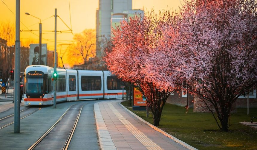 Eskişehir'de toplu taşımada neler kullanılıyor: Tramvaydan otobüse tam rehber 2026