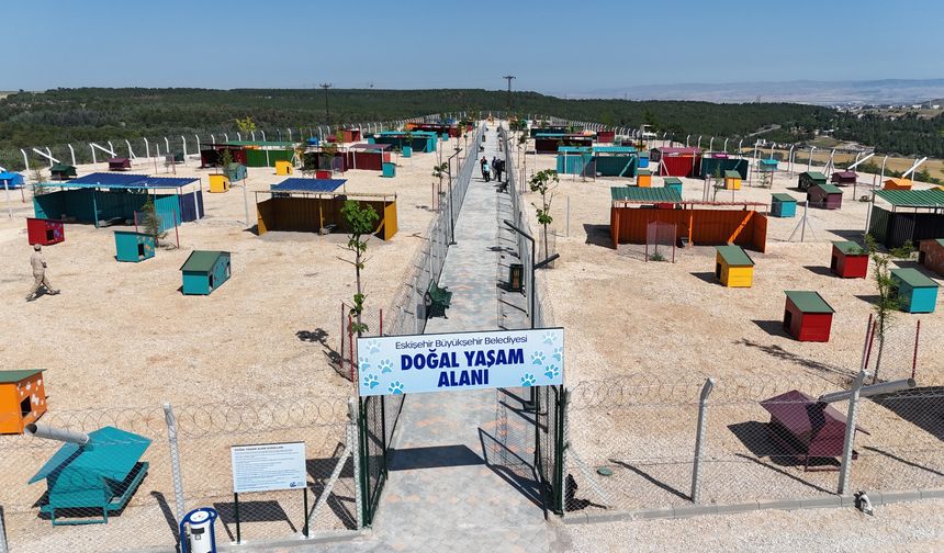 Büyükşehir'den 2025'te doğaya ve can dostlara tam destek