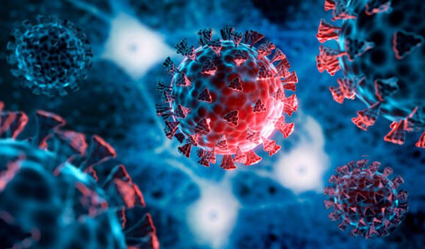 Uzaydaki virüslerin evrimi: Beklenmedik genetik değişimler