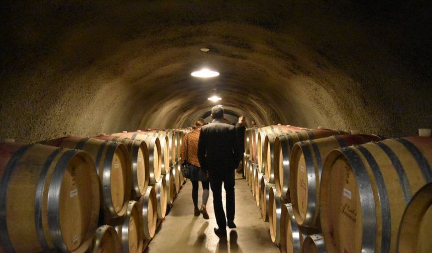 Türkiye'nin En Büyük Şarap Mahzenleri: Yer Altındaki Gizli Şehirleri Keşfedin!