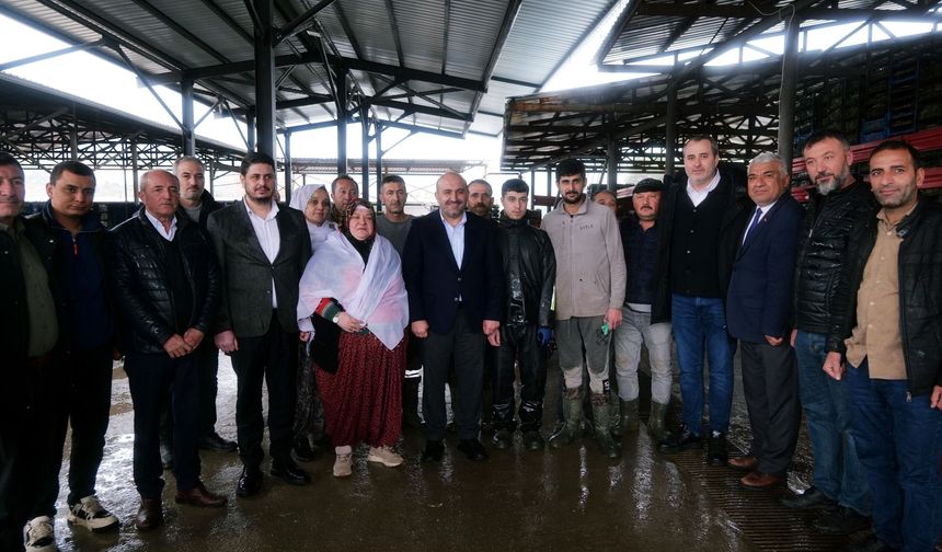 Belediye Başkanı Güneş'i hedef alan provokatöre gözaltı!