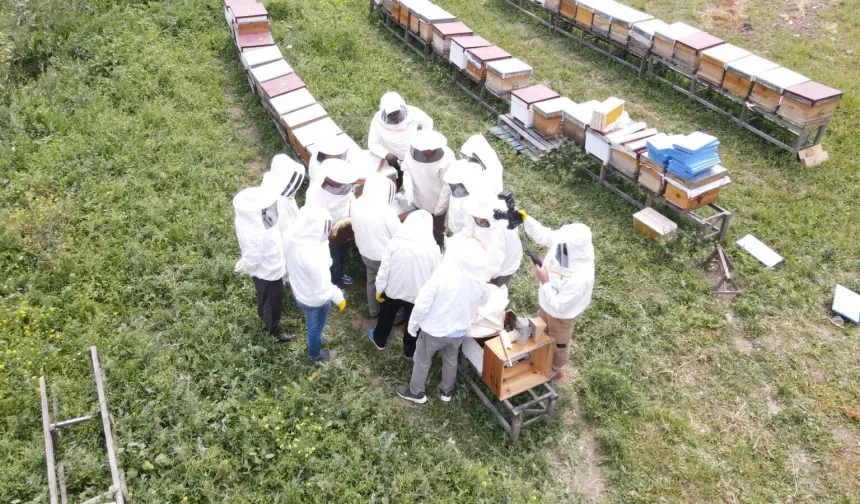 Kendi Balını Üretmek İsteyenler Dikkat: Arıköy 2026 Kayıtları 23 Şubat’ta Başlıyor