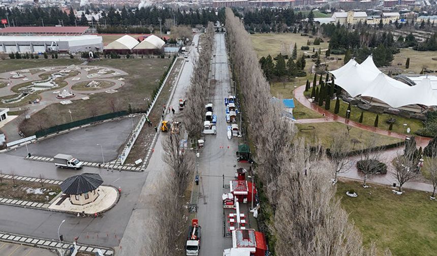 Ekolojik ömrünü tamamlayan kavaklar yerini çınarlara bırakıyor