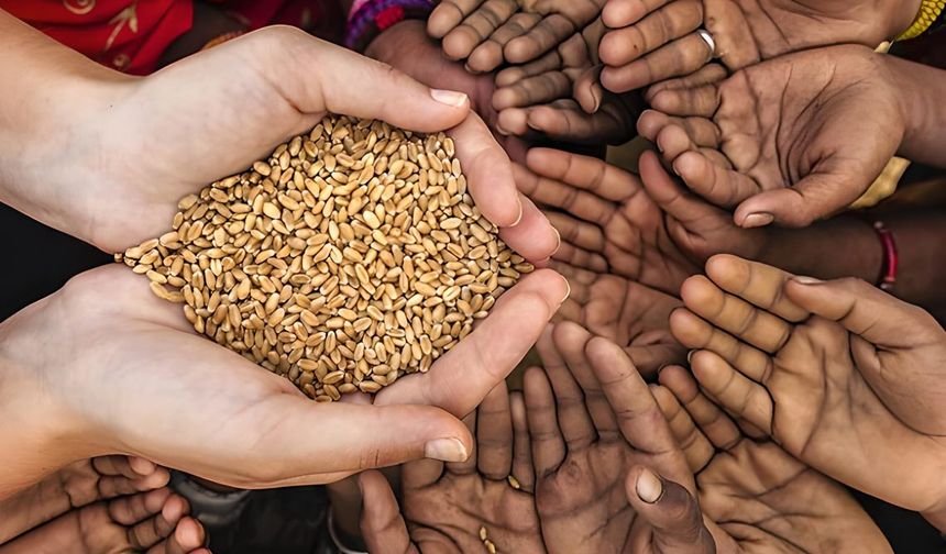 Zekât Nedir, Nasıl Hesaplanır? 2026 Diyanet Zekât Rehberi