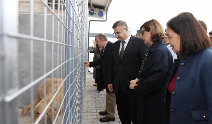 Eskişehir'in Modern Hayvan Bakımevi Kapılarını Açtı!