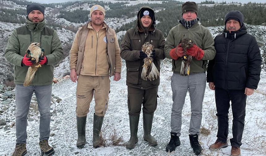 Eskişehir Hayvanat Bahçesi’nde tedavi edilen kuşlar doğaya bırakıldı
