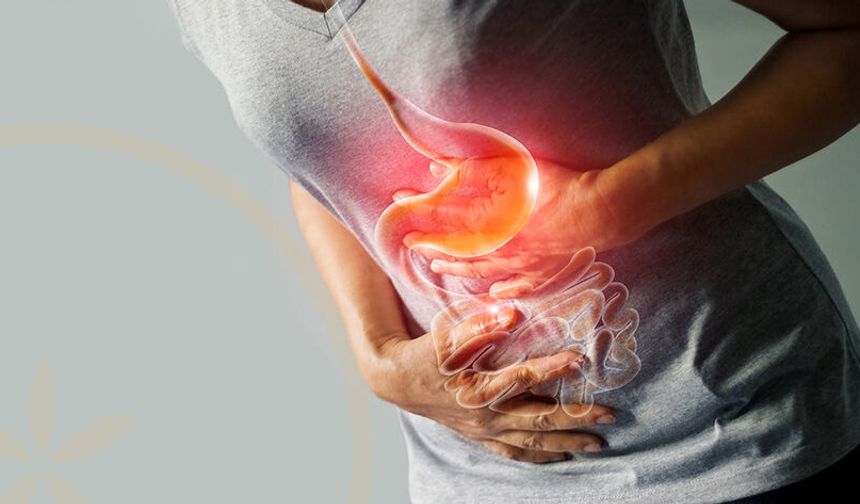 Ramazan’da Hemoroid Şikayetleri Neden Artar? Uzmanlardan Kabızlık ve Beslenme Uyarısı